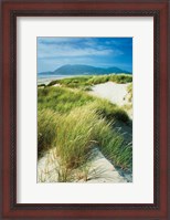 Framed Oregon Dunes Grass