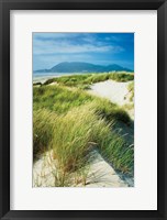 Framed Oregon Dunes Grass