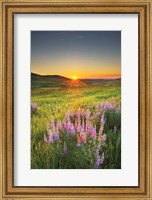 Framed Prairie Sunrise