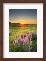 Framed Prairie Sunrise