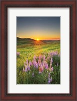 Framed Prairie Sunrise