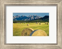 Framed Waterton Hay Bales