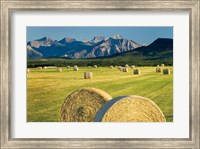 Framed Waterton Hay Bales