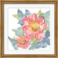 Framed 'Peony in the Pink II on White' border=