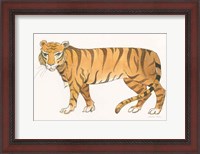 Framed Big Cats IV