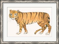 Framed Big Cats IV