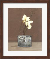 Framed Orchids with Curly Willow