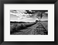 Framed Stone Wall