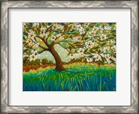 Framed Magnolian Grace