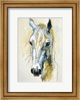 Framed Horse Head