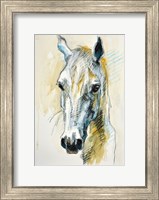 Framed Horse Head