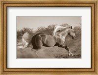 Framed Platinum Centerfold (sepia)