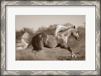 Framed Platinum Centerfold (sepia)