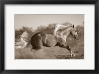 Framed Platinum Centerfold (sepia)