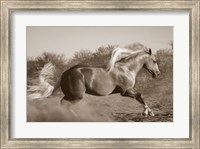 Framed Platinum Centerfold (sepia)