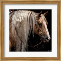 Framed Platinum in Bridle