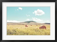 Framed Day in the Fields