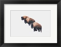 Framed Yellowstone Trio