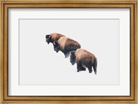 Framed Yellowstone Trio