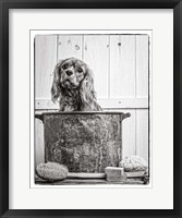 Framed Vintage Puppy Bath