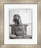 Framed Vintage Puppy Bath