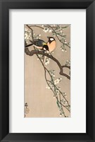Framed Songbirds on Cherry Branch, 1900-1910
