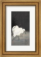 Framed Two Egrets in the Reeds, 1900-1930