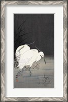 Framed Two Egrets in the Reeds, 1900-1930