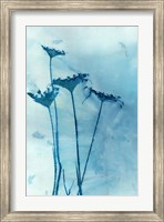 Framed Blue Anne