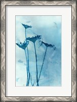 Framed Blue Anne