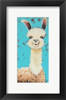 Framed Llama Sue