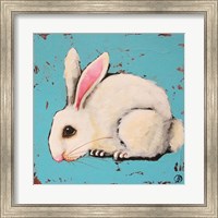 Framed Bunny
