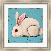 Framed Bunny