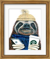Framed Urban Sloth