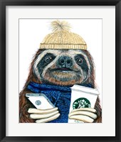 Framed Urban Sloth