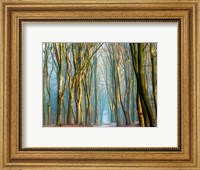 Framed Light & Trees
