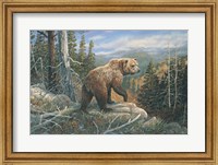 Framed Grizzlies Domain