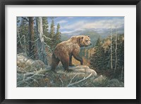 Framed Grizzlies Domain