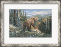 Framed Grizzlies Domain
