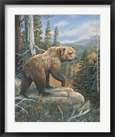 Framed Grizzlies Domain 2