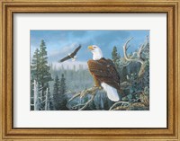 Framed Majestic Pair