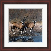 Framed At The Waterhole