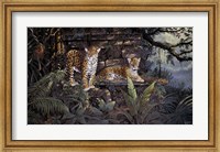 Framed Jaguars