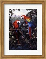 Framed Macaws Red