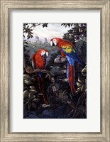 Framed Macaws Red