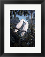 Framed Cockatoo