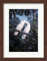 Framed Cockatoo