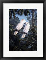 Framed Cockatoo