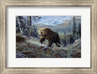 Framed Over The Top Grizzly