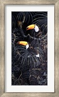 Framed Toucans